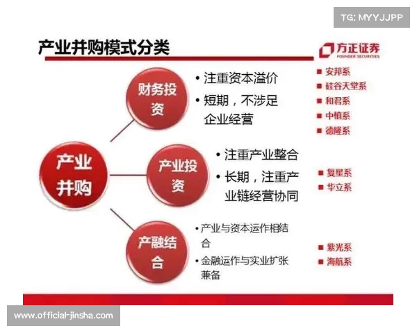 中国资本在英超崛起的影响与中国老板的投资策略分析 中国资本在英超崛起的影响与中国老板的投资策略分析